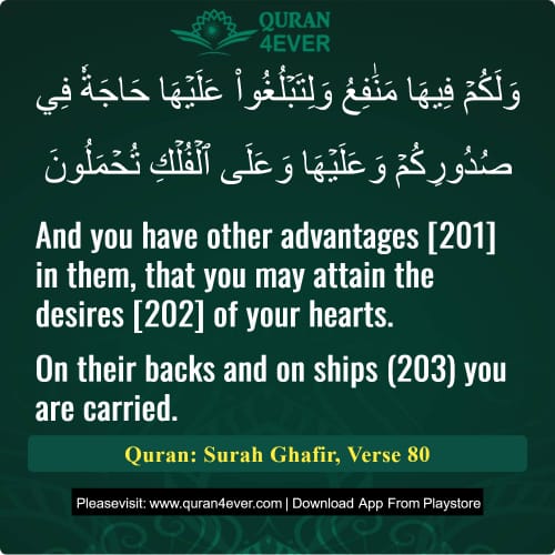 Quran Surah 40 Verse 80