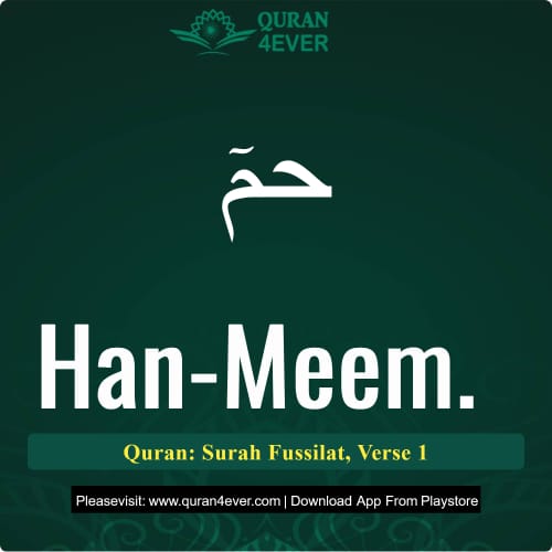 Quran Surah 41 Verse 1