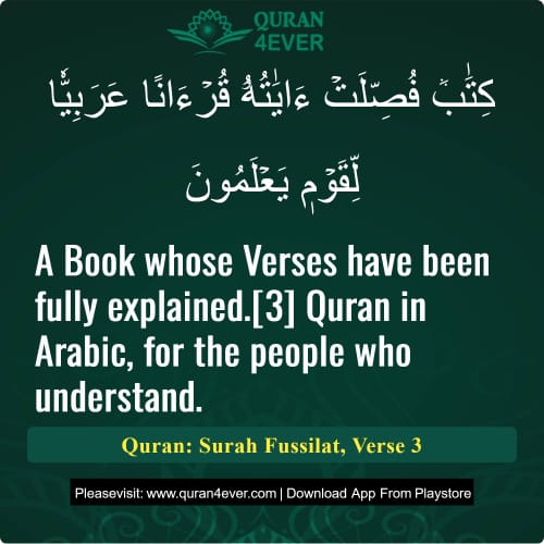 Quran Surah 41 Verse 3