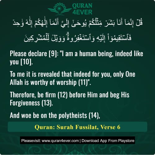 Quran Surah 41 Verse 6