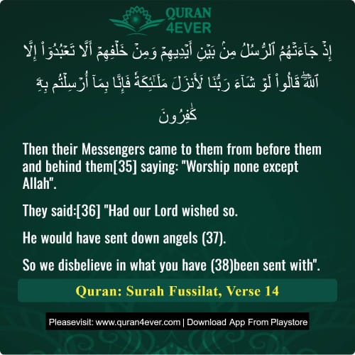 Quran Surah 41 Verse 14