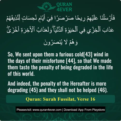 Quran Surah 41 Verse 16