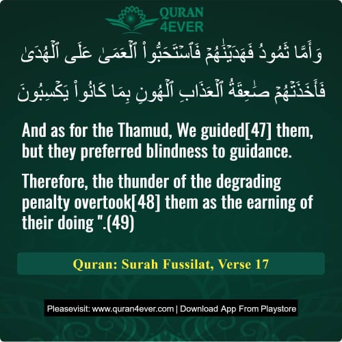 Quran Surah 41 Verse 17