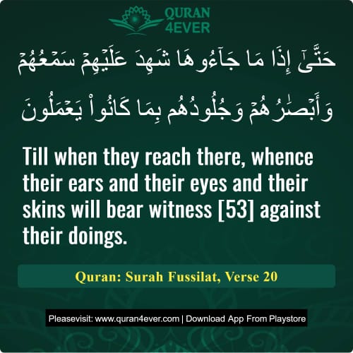 Quran Surah 41 Verse 20