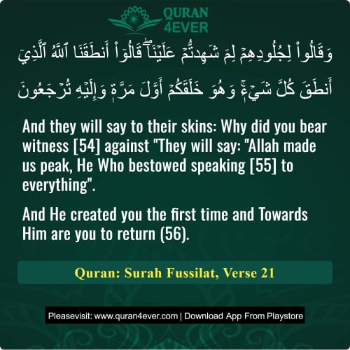 Quran Surah 41 Verse 21