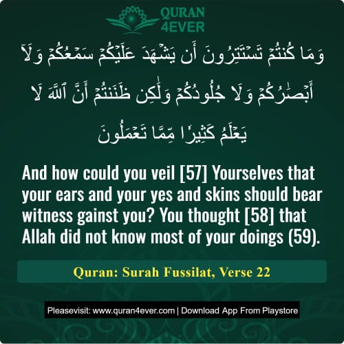 Quran Surah 41 Verse 22