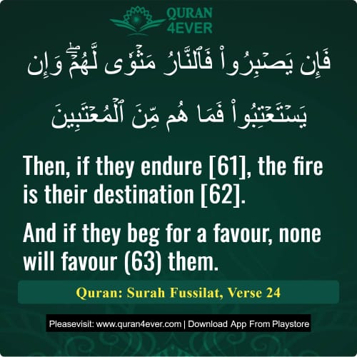 Quran Surah 41 Verse 24