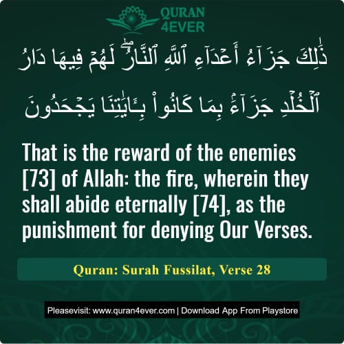 Quran Surah 41 Verse 28