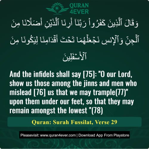Quran Surah 41 Verse 29