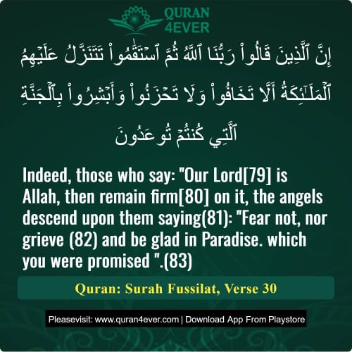 Quran Surah 41 Verse 30
