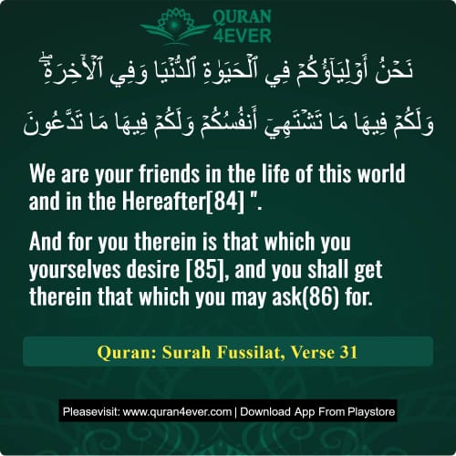 Quran Surah 41 Verse 31