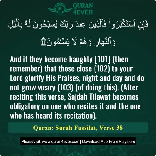 Quran Surah 41 Verse 38
