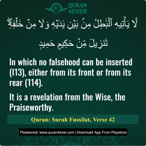 Quran Surah 41 Verse 42