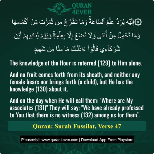 Quran Surah 41 Verse 47