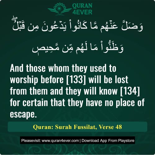 Quran Surah 41 Verse 48