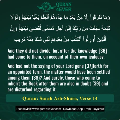 Quran Surah 42 Verse 14