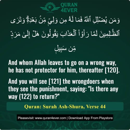 Quran Surah 42 Verse 44