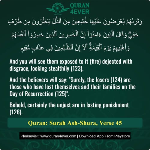 Quran Surah 42 Verse 45