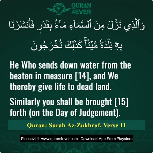Quran Surah 43 Verse 11
