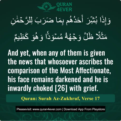 Quran Surah 43 Verse 17