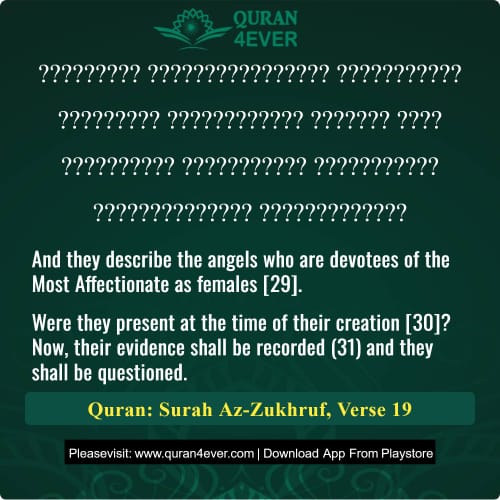 Quran Surah 43 Verse 19
