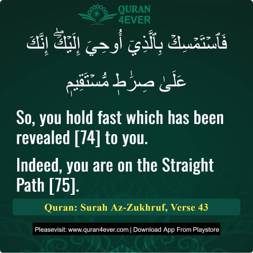 Quran Surah 43 Verse 43