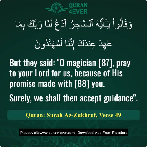 Quran Surah 43 Verse 49