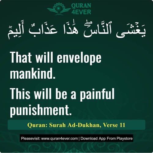 Quran Surah 44 Verse 11