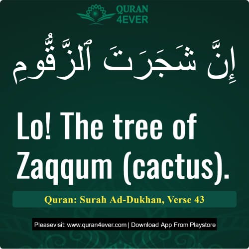 Quran Surah 44 Verse 43