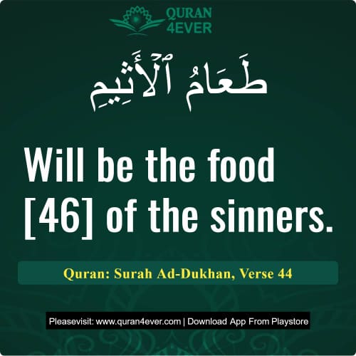 Quran Surah 44 Verse 44