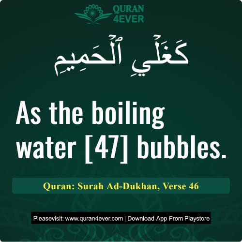 Quran Surah 44 Verse 46