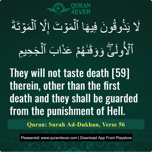 Quran Surah 44 Verse 56