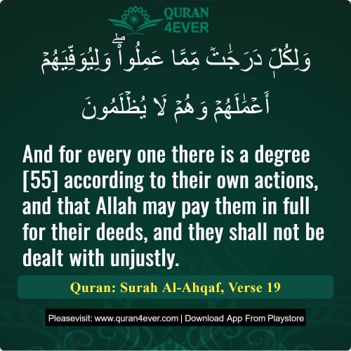 Quran Surah 46 Verse 19