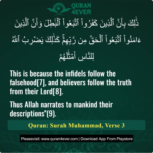 Quran Surah 47 Verse 3