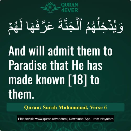 Quran Surah 47 Verse 6