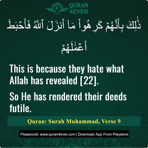 Quran Surah 47 Verse 9