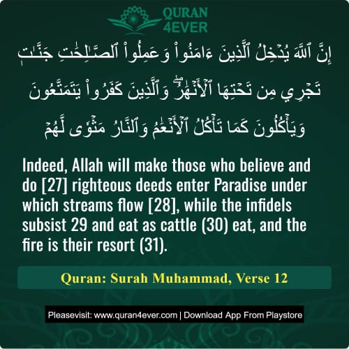 Quran Surah 47 Verse 12