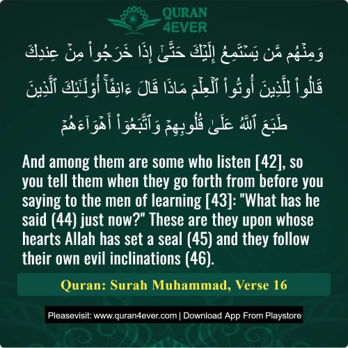 Quran Surah 47 Verse 16
