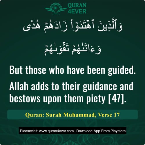 Quran Surah 47 Verse 17