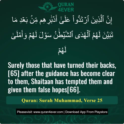 Quran Surah 47 Verse 25