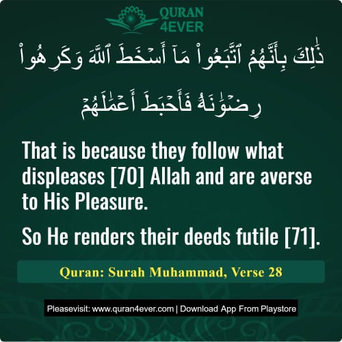 Quran Surah 47 Verse 28