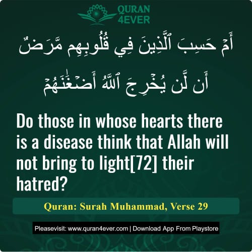 Quran Surah 47 Verse 29