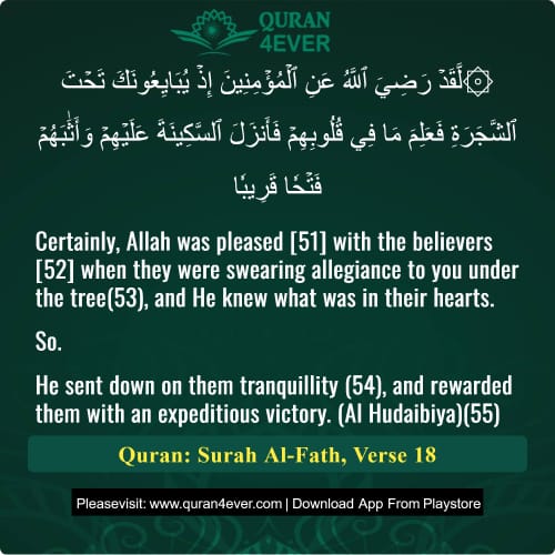 Quran Surah 48 Verse 18