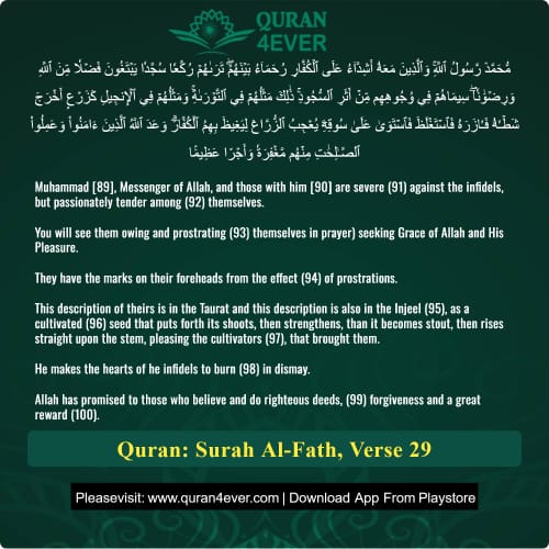 Quran Surah 48 Verse 29