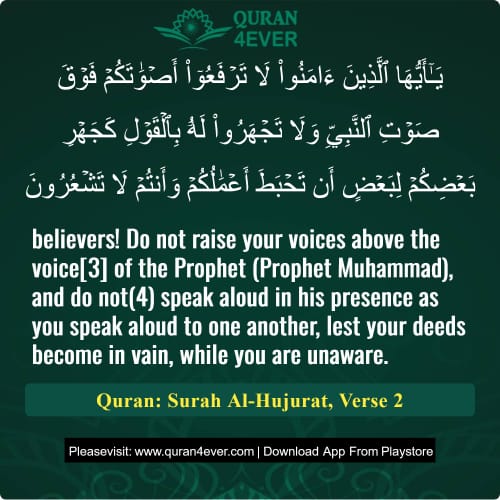 Quran Surah 49 Verse 2