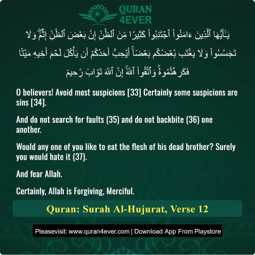 Quran Surah 49 Verse 12