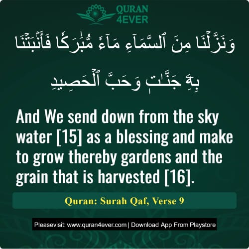 Quran Surah 50 Verse 9