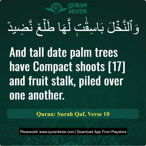 Quran Surah 50 Verse 10