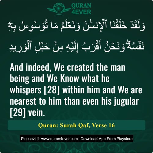 Quran Surah 50 Verse 16