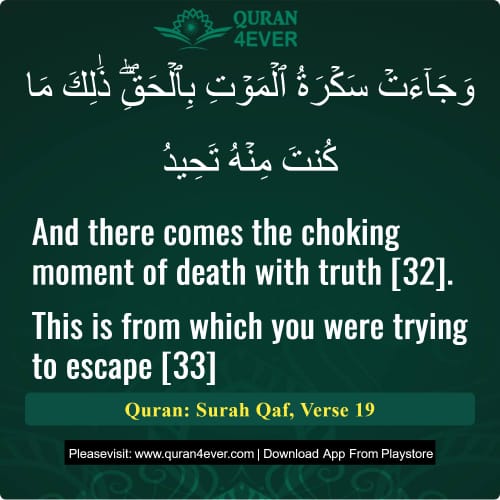 Quran Surah 50 Verse 19